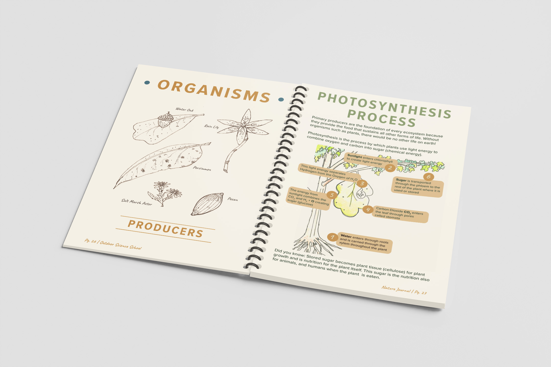 OSS Pages 26-27