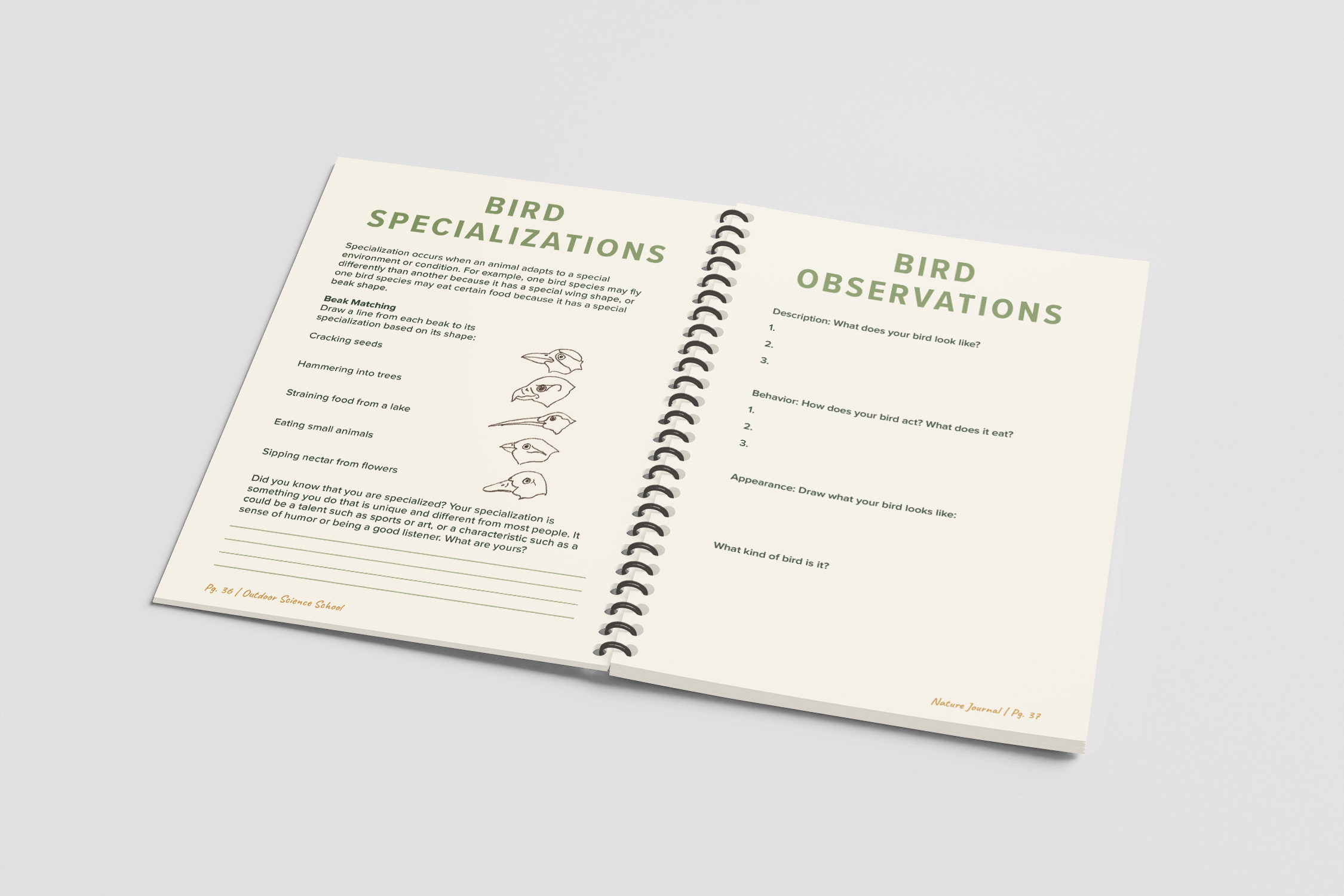 OSS Pages 36-37